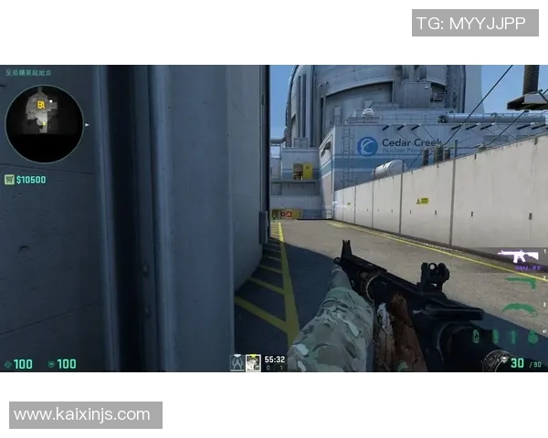 深入解析CSGO战术中的LNG防守体系及其应用技巧与策略