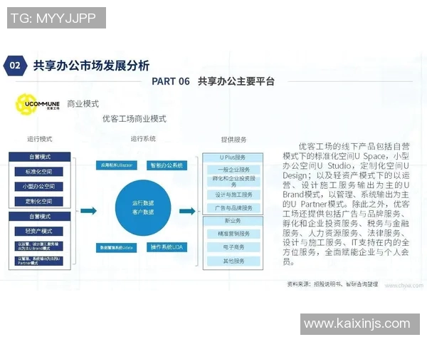 上海极限运动队状态全景解析及各队表现对比分析