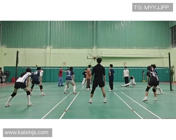 南京排球队的节奏与魅力：聚焦排球运动的热情与发展