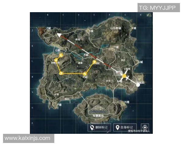 和平精英战术分析：LNG快攻策略的优势与不足探讨